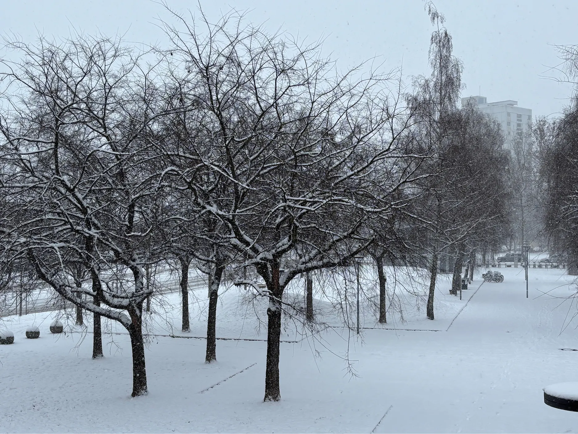 Pogled na zasneženo ulico in drevesa, v ozadju je stanovanjski blok